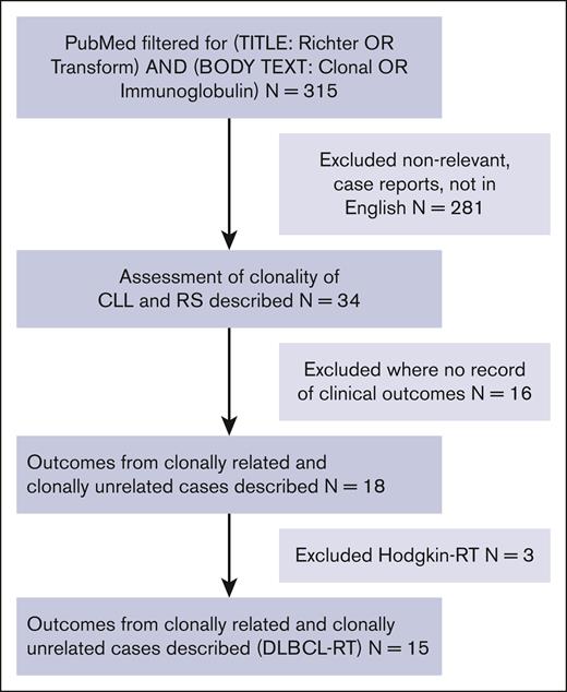Flowchart of study selection from literature review. RS, Richter syndrome.