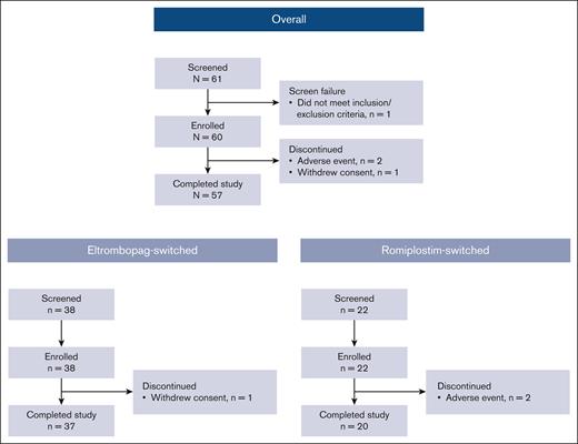 Patient disposition.