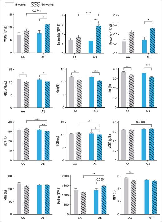 Age-dependent hematologic changes in control (AA) and sickle trait (AS) mice. Hematology profiles for AA (gray bars) and AS mice (blue bars) are shown for mice (n = 6-10) aged 8 weeks (open bars) and 40 weeks (striped bars). Values are shown as mean ± SEM. ∗P < .05; ∗∗P < .01; ∗∗∗P < .001; ∗∗∗∗P < .0001. Hct, hematocrit; MCH, mean corpuscular Hb; MCHC, mean corpuscular Hb concentration; MCV, mean corpuscular volume; MPV, mean platelet volume; RDW, red cell distribution width.