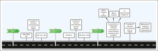 Changes in treatment regimens have led to significant improvements in OS for children with tAML, and new opportunities on the horizon for additional forward movement. BCL-2, B-cell lymphoma 2; KMT2Ar, KMT2A rearrangement; R12/R17, registries 2012 and 2017.
