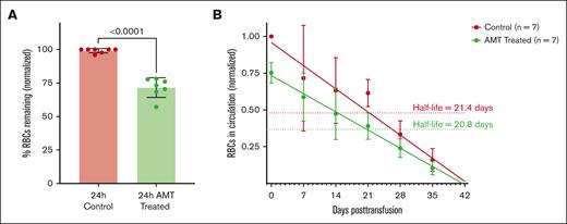 Clearance of control and AMT-treated donor RBCs after transfusion. Transfused control and AMT-treated donor RBCs in circulation normalized to the mean number of control RBCs at 24 hours (A; N = 7) and over 35 days (B). After the initial clearance of 27.5% of the less deformable RBCs in the AMT-treated sample, the control and remaining AMT-treated RBCs are cleared with a half-life of 21.4 and 20.8 days, respectively.
