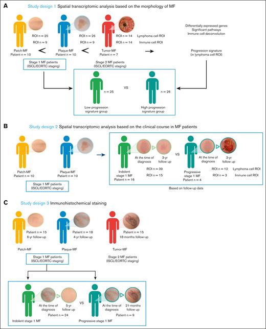 Summary of the study design. (A) In study design 1, spatial transcriptomic analysis based on the morphology of MF (patch-, plaque-, and tumor-stage MF) was conducted and progression signature that significantly and continuously increased in expression during progression was discovered. (B) Next, spatial transcriptomic analysis based on the clinical course was performed among patients with stage I MF. (C) In study design 3, IHC staining was performed on a new patient data set, including patch-stage MF, progressive plaque-stage MF, indolent plaque-stage MF, and tumor-stage MF. EORTC, European Organization of Research and Treatment of Cancer; ISCL, International Society for Cutaneous Lymphomas; yr, year.