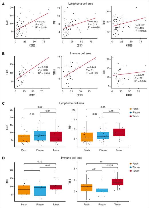 Correlation between T-cell exhaustion markers and M2 macrophage marker. (A) Correlation plot between CD163 and LAG3, between CD163 and FAP, and between CD163 and programmed death-ligand 1 in lymphoma cell areas. (B) Correlation plot between CD163 and LAG3, between CD163 and TIM-3, and between CD163 and PD1 in immune cell areas. (C) The expression of LAG3 and FAP according to patch-, plaque-, and tumor-stage MF in the lymphoma cell area. (D) The expression of LAG3 and TIM-3 according to patch-, plaque-, and tumor-stage MF in the immune cell area.