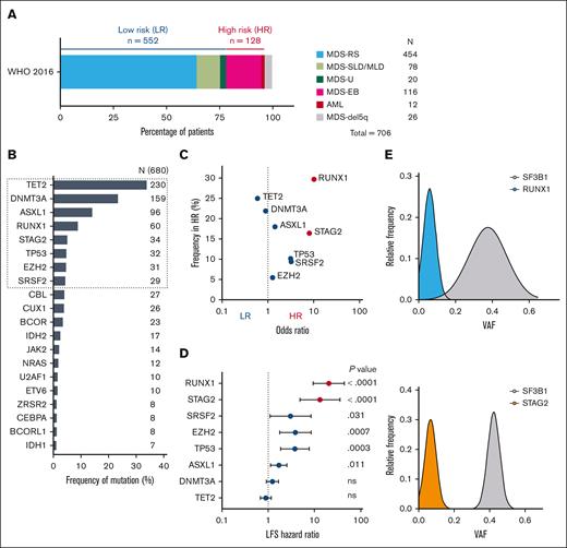 SF3B1 mutation constrains the spectrum of drivers of clonal progression. (A) Distribution of MDS/AML diagnostic categories in the SF3B1-mutant patient cohort based on WHO 2016 classification. Mutation analysis was restricted to the highlighted low-risk (BM blasts <5%) and high-risk groups (BM blasts ≥5%). (B) Frequency of SF3B1 comutated driver genes in the SF3B1-mutant patient cohort. n, number of mutated patients. Dashed box indicates genes mutated in ≥4% of patients. Only genes mutated in ≥1% of patients are shown. (C) Odds ratio distribution of recurrent SF3B1 comutated genes vs mutational frequency in the high-risk group. Red color indicates genes with the highest odds ratio of HR disease. (D) Hazard ratio for the risk of progression to AML or death, based on univariate Cox regression analysis. Red color indicates genes with the highest hazard ratio of leukemic transformation or death. (E) Frequency distribution of VAF of SF3B1 and RUNX1 (top), and SF3B1 and STAG2 (bottom) mutations in SF3B1-mutant MDS/AML. HR, high-risk group; LFS, leukemia free survival; LR, low-risk group; MDS-del5q, MDS with isolated del(5q); MDS-EB, MDS with excess blasts; MDS-RS, MDS with ring sideroblasts; MDS-SLD/MLD, MDS with single lineage/multilineage dysplasia; MDS-U, MDS, unclassifiable; WHO, World Health Organization.