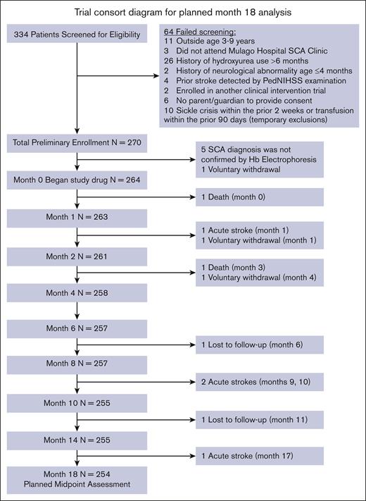 CONSORT (Consolidated Standards of Reporting Trials) diagram for the planned month 18 analysis.