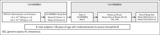 Study design. Design of the phase 1/2 open-label, single ascending dose–finding 101HEMB01 study of DTX101, and the noninterventional follow-up 101HEMB02 study.