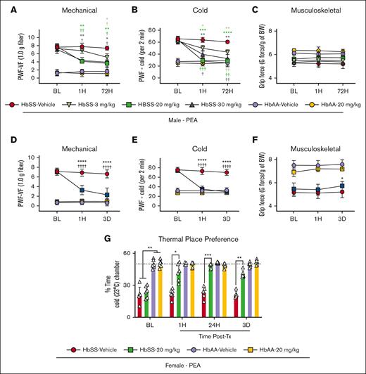 PEA ameliorates chronic hyperalgesia in HbSS mice. (A-B) PEA intraperitoneal (IP) dose-dependently reduced hyperalgesia in male HbSS mice in response to mechanical and cold stimulation with maximal effect at 1 hour and 72 hours of daily treatment with 20 mg/kg per day dose. (C) PEA did not affect measures of musculoskeletal hyperalgesia in male HbSS or HbAA mice. (D-F) Optimized PEA dose (IP, 20 mg/kg per day) in female mice significantly ameliorated mechanical and cold hyperalgesia 1 hour and 72 hours after start of treatment compared with vehicle and BL measures, and musculoskeletal hyperalgesia was reduced at 72 hours in PEA-treated mice compared with vehicle. (G) PEA (IP, 20 mg/kg per day) treatment significantly ameliorated nonevoked cold hyperalgesia in a thermal place preference test, indicated by increased time spent in a cold chamber, 1 hour after initial dose and after 3 days of daily treatment compared with vehicle-treated HbSS mice. No effects were observed in male or female control mice with treatments. Mean ± SD. In panels A-G, data were analyzed using repeated measures 2-way ANOVA and the Tukey post hoc multiple comparisons test. ∗Indicates a difference compared with time-matched vehicle; †indicates a difference compared with respective BL. ∗,†P < .05; ∗∗,††P < .01; ∗∗∗,†††P < .001; ∗∗∗∗,††††P < .0001. Age: 3.5 to 5.0 months. For panels A-C: PEA male, HbSS vehicle, n = 4; HbSS 3 mg/kg, n = 4; HbSS 20 mg/kg, n = 4; HbSS 30 mg/kg, n = 5; HbAA vehicle, n = 5; HbAA 30 mg/kg, n = 6; panels D-G: PEA female, HbAA vehicle, n = 11; HbAA 20 mg/kg, n = 6; HbSS vehicle, n = 8; HbSS 20 mg/kg, n = 12. BW, body weight; PWF, paw withdrawal frequency; Tx, treatment; VF, von Frey.