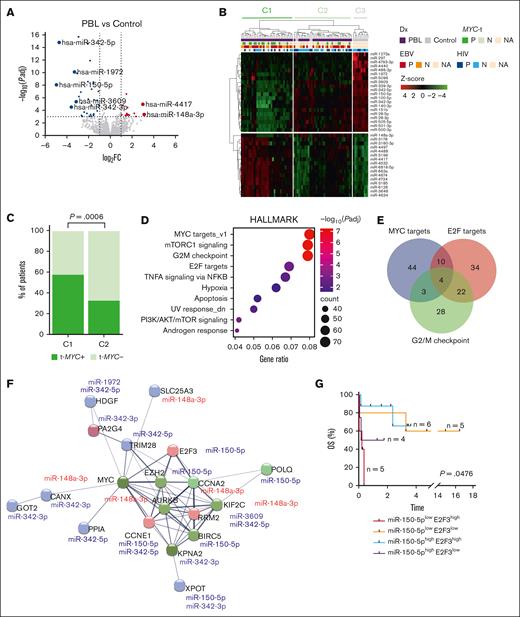 miRNA landscape in PBL. (A) Volcano plot highlighting DEMs in PBL compared to controls, with significantly upregulated genes (red) and downregulated genes (blue; log2FC > |1|; Padj < .001). (B) Heatmap displaying unsupervised analysis between PBL (purple) and controls (gray) of 36 DEMs with validated targets based on Affymetrix annotations (log2FC > |1|; Padj < .001). On top, patients are classified depending on Dx, HIV and EBV infections, and MYC-t. The color of the heat map is represented by the z-score. Three clusters are highlighted on top, PBL-associated clusters (C1 and C2; green) and control-associated cluster (C3; gray). (C) This figure exhibits the proportion of patients in clusters C1 and C2, depending on MYC-t. (D) Enrichment analysis of miRNA targets that were differentially expressed (log2FC > |1|; Padj < .001) based on hallmark gene sets. Bubble color and size represent –log10(Padj) and gene count, respectively. (E) Venn diagram illustrating the number of overlapping enriched gens between G2/M checkpoint (green), MYC targets (blue), and E2F targets (pink) hallmark data sets. (F) miRNA target network performed with STRING (version 12.0) including the most DEMs (log2FC > |3|; Padj < .001) and their validated targets according to Affymetrix annotations (represented in circles; log2FC > |1|; Padj < .05). The colors of the circles represent the hallmark data sets in which each gene is involved, according to the colors of the Venn diagram in panel E. The color of miRNAs represents the downregulation (blue) or upregulation (red). (G) OS of PBL depending on miR-150-5p and E2F3 expression (median normalized expressions, 6.50 and 8.43, respectively). Statistical analysis was performed using Fisher exact test in panel C and the log-rank test in panel G. Dx, diagnosis; N, negative; NA, not available; OS, overall survival; P, positive; TNFA, tumor necrosis factor alpha.