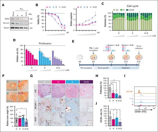 E2F3 and survivin as possible therapeutic targets against PBL. (A) Effect of H and S inhibitors, alone or in combination, in PBL-1 cells at IC50 dose on E2F3 and survivin protein levels, as assessed by western blot. (B) The effect of the indicated inhibitors on viability and apoptosis was assessed by flow cytometry at 24 hours by annexin V/TO-PRO-3 staining in PBL-1 cells. Relative viability (%; left) and apoptosis (proportion; right) of treatments normalized to DMSO are shown. (C) Figure shows the distribution of cells in the cell cycle phases at 24 hours, which was evaluated by flow cytometry and TO-PRO-3 staining at different doses specified in the supplemental Materials and supplemental Table 2. (D) Effect of H, S, and H + S in cell proliferation measured by 3-(4,5-dimethylthiazol-2-yl)-2,5-diphenyltetrazolium bromide assay in PBL-1 cells. (E) Scheme followed to evaluate the effect of the H and S inhibitors alone and in combination in the chicken CAM based on the engraftment of PBL-1 cells on day 9, followed by 2 administrations of H, S, or H + S combination on days 12 and 14, and the collection of samples on day 16. (F) Tumors are weighted on day 16 (n = 7-14 eggs per group). Images of tumors under different conditions (top); and the relative reduction of tumor growth with the treatments (bottom). (G) Hematoxilin-eosin (HE), MUM-1, and Ki67 immunohistochemical (IHC) staining from sections of formalin-fixed, paraffin-embedded tumors from CAM under different treatment conditions (n = 5 eggs per group). (H) Relative proliferation of tumoral cells under different treatment conditions measured by Ki67 IHC staining. (I) The presence of CD138+ cells in tumors formed without treatment or treated with H, S, or H+S assessed by CD138 (APC) staining and flow cytometry (n = 5 eggs per group). (J) The relative percentage of CD138+ cells depending on the treatment of PBL-1 CAM model. All in vitro experiments were performed in biological triplicates. ANOVA test was used for statistical analysis. ∗P < .05; ∗∗P < .01; ∗∗∗P < .001. C, control; DMSO, dimethyl sulfoxide; H, HLM006474; IL-6, interleukin-6; S, S12.