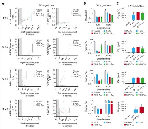 Teng reduce leukemia burden in vivo. NSG mice were inoculated with BCP-ALL (Pts 16, 18, and 19) and T-ALL (Pt 22) samples, before being treated with Teng and T cells. (A) Engraftment levels in PB, monitored weekly by flow cytometry. Gray boxes represent duration of treatment. Data in PB graphs represent mean ± SD (n = 3-4 mice per treatment condition). (B) Proportion of ROR1+ and CD19+ cells in BM at termination. (C) IFN-γ levels in murine plasma at termination. Bars represent mean ± SD (n = 3-4).