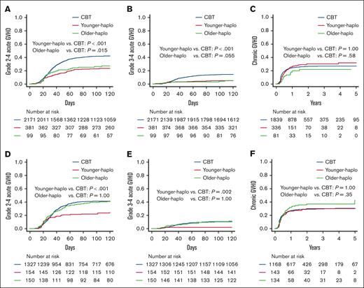 Comparing acute and chronic GVHD: CBT vs haplo transplants. Cumulative incidences of grade 2 to 4 acute GVHD (A,D), cumulative incidences of grade 3 to 4 acute GVHD (B,E), and cumulative incidences of chronic GVHD (C,F) for younger haplo, older haplo, and CBT in the older patient cohort in panels A-C and the younger patient cohort in panels D-F.