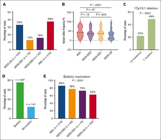 Characterization of TP53mut MNs. (A) TP53mut AML was highly prevalent followed by MDS-LB, -EB2, and -EB1, respectively. (B) The VAF was significantly higher in AML and MDS-EB2 compared with MDS-LB. (C) 17p loss was more prevalent in cases with single TP53mut. (D) Most TP53mut cases exhibited biallelic inactivation. (E) The frequency of biallelic inactivation increased with higher blast categories.