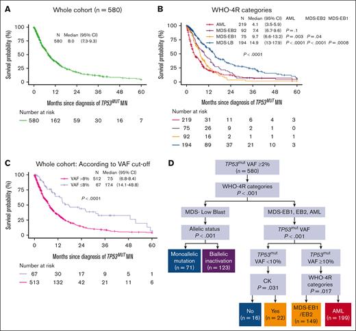 Risk stratification of TP53mut MN using CIT analysis. (A) The median OS for patients with TP53mut MN was 8 months. (B) The median OS was progressively shorter with increasing blast percentage categories. (C) Patients with a TP53mut VAF >8% had significantly poorer median OS compared with those with a VAF ≤8%. (D) CIT analysis identified the following 4 distinct risk groups with distinct survival: MDS-LB, MDS-EB1 or -EB2 or AML with VAF <10%, MDS-EB1 or -EB2 with VAF ≥10%, and AML VAF ≥10%. 95% CI, 95% confidence interval.
