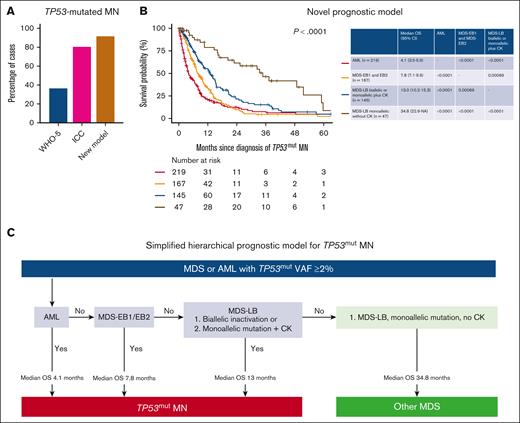 Hierarchical classification schema for TP53mut MNs. (A) The distribution of TP53mut MN cases classified by WHO-5, ICC, and the proposed model. (B) The novel prognostic model identifies 4 distinct categories of TP53mut MN with significant differences in survival outcomes. (C) Simplified hierarchical prognostic model for TP53mut MN. NA, not available.