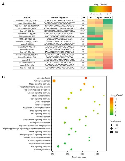 Differential expression of miRNA in HbAS. (A) Heat map of differentially expressed plasma miRNAs in sickle cell anemia compared with the normal HbAA. (B) Bubble plot of significant KEGG pathway enrichment analysis (top 25). Characteristics of the HbAS cohort (n = 12) were as follows: mean age, 41 ± 7 years; 42% female; and mean eGFR, 101 ± 19 mL/min. The normal HbAA cohort (n = 12) had a mean age of 42 ± 8 years, 42% female, and a mean eGFR of 116 ± 17 mL/min. All 24 participants self-identified as Black race, were not on any chronic medications, and had no history of comorbidities. FC, fold change; miRNA, microRNA; U/D, up/down.