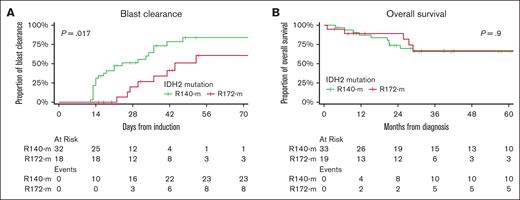 Patients with R172-m had significantly slower blast clearance than patients with R140-m, despite no difference in outcomes. (A) Time to blast clearance. Kaplan-Meier curves for estimated time to blast clearance (defined as days from induction to first BMB with ≤5% blasts, censored at time of second treatment or death) demonstrate significantly slower blast clearance among patients with R172-m. Median days to blast clearance was 44 among patients with R172-m vs 24 days among patients with R140-m (P = .017). There was no significant effect of induction type or of addition of enasidenib to induction. (B) Overall survival. Kaplan-Meier curves for estimated overall survival reveal no difference between patients with R140-m vs patients with R172-m. Estimated 24-month survival was 78% (67%, 91%); 74% (60%, 91%) among patients with R140-m and 89% (76%, 100%) among those with R172-m.