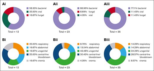Early-onset pathogens and foci following CAR T-cell therapy. (A) Early-onset infections and (B) infection foci after (i) anti-BCMA CAR T-cell therapy (n = 10), (ii) anti-CD19 CAR T-cell therapy (n = 42), and (iii) overall cohort receiving either CAR T-cell therapy (n = 52).