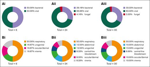 Late-onset pathogens and foci following CAR T-cell therapy. (A) Late-onset infections and (B) long-term foci after (i) anti-BCMA CAR T-cell therapy, (ii) anti-CD19 CAR T-cell therapy, and (iii) overall cohort receiving either CAR T-cell therapy. Respiratory infections increase in the long-term follow-up, whereas urogenital and abdominal foci were observed less frequently. A switch from bacterial infections in the short-term follow-up to mostly viral infections from day 30 to day 360 was observed.