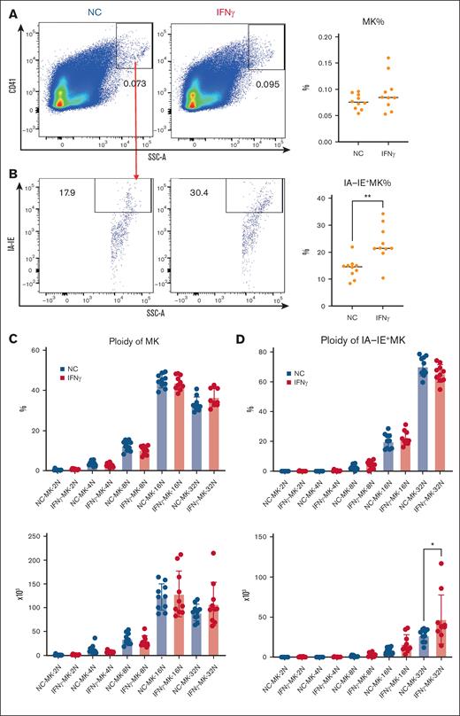 IFN-γ induces immune characteristics in MKs. (A) The frequencies of MKs in the total BM after IFN-γ injection. (B) The frequencies of IA-IE+ MKs after IFN-γ injection. (C) Frequencies and absolute numbers of the ploidy of MKs in normal mice and IFN-γ–injected mice. (D) Frequencies and absolute numbers of the ploidy of IA-IE+ MKs in normal mice and IFN-γ–injected mice. Representative flow cytometry plots and results are shown, n = 10 mice for each group. NC, normal MKs; IFN-γ, MKs from IFN-γ–injected mice. ∗∗P < .01. SSC-A, side scatter area.
