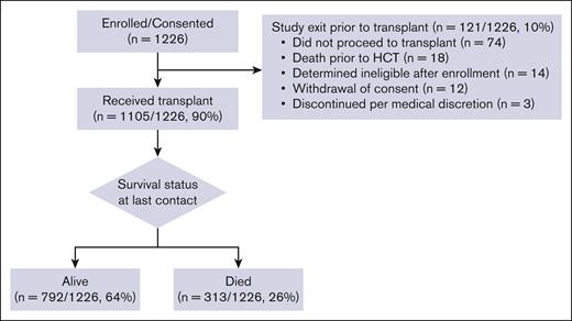 CONSORT diagram describing study flow.