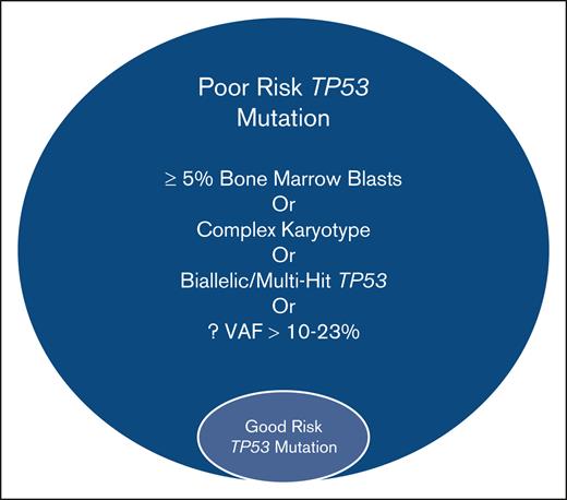 Distribution of poor-risk TP53 mutant MDS/AML vs good-risk TP53 mutant MDS according to Shah et al (92% vs 8%). Poor-risk TP53 mutant MDS/AML is identified by patients with a biallelic/multihit disease, complex karyotype, and ≥5% bone marrow myeloblasts, with the good-risk TP53 mutant patients not meeting any of these criteria. Current cohort also identified a VAF cutoff of 10% to best stratify survival, although multiple past cohorts have identified a VAF cutoff of 20% to 23% as the most optimal.