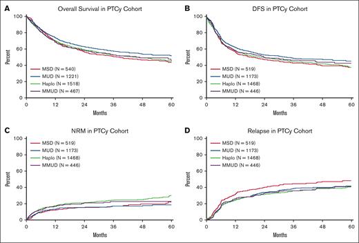 Adjusted outcomes in patients treated with PTCy. (A) OS by donor group. (B) DFS. (C) Cumulative incidences of NRM. (D) Cumulative incidences of relapse.