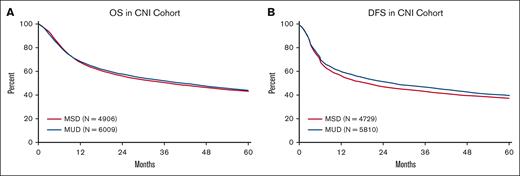 Adjusted outcomes in patients treated with CNI. (A) OS by donor group. (B) DFS. MSD, older-aged matched, sibling donor; MUD, young matched unrelated donor.