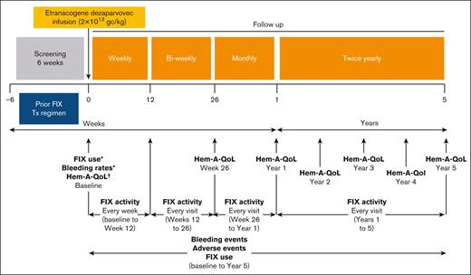 Overview of the phase 2b study design. After an initial screening period, during which time the participants received their usual standard of care or FIX replacement therapy, patients received a single IV dose of 2 × 1013 gc/kg etranacogene dezaparvovec. FIX levels were assessed weekly for the first 6 weeks, before assessments were reduced to biweekly until week 26 after infusion, when they reduced to monthly up to month 12, and twice-yearly up to the study completion of month 60. Quality-of-life assessments (Hem-A-QoL) were performed at week 26, and then annually from year 1 to year 5. Bleeding events, AEs, and any exogenous FIX use were reported throughout the study period. ∗Data from the year before screening were collected retrospectively using medical records. †Data were collected on the day of dosing. Tx, treatment.