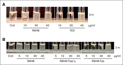mAb R6H8 is a potent inhibitor of clot retraction, but potency requires bivalent binding. (A) Washed platelets (3 × 108 platelets per mL) were incubated with the indicated concentration of mAb R6H8 or 7E3 IgG for 20 minutes at room temperature. Clot retraction was initiated by adding platelets treated as above to an aggregation cuvette containing 2 mM CaCl2 and 0.2 U/mL thrombin, as indicated in “Methods.” Shown are representative images of 4 independent experiments. (B) Washed platelets (3 × 108 platelets per mL) were incubated with the indicated concentration of mAb R6H8, R6H8 F(ab')2, or R6H8 Fab for 20 minutes at room temperature. Clot retraction was initiated by adding platelets treated as above to an aggregation cuvette containing 2 mM CaCl2 and 0.2 U/mL thrombin. Shown are representative images of 3 independent experiments. Cntl, control (untreated) platelets.