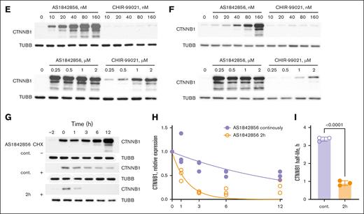 AS1842856 is an inhibitor of GSK3B. (A) GSEA of genes exclusively regulated by either Foxo1-KO or AS1842856 were subjected to GSEA for the “c2” curated database as described in Figure 2D. The result for the gene set “WANG_RESPONSE_TO_GSK3_INHIBITOR_SB216763_UP” in both conditions is shown. (B) Structural similarity of AS1842856 to quinolizidinone carboxylic acid derivates that inhibit GSK3B. To predict the pharmacological activities of AS1842856, we used the SwissTargetPrediction tool (http://www.swisstargetprediction.ch/). The prediction was made by the high structural similarity of AS1842856 to quinolizidinone carboxylic acid derivatives. The 2 most similar compounds are shown (BindingDB and PubCHEM). (C) Investigation of GSK3B-inhibitory activity was performed by in vitro kinase luminescent assay. The highly specific GSK3B inhibitor CHIR-99021 was used as a positive control (n = 2). (D) An unbiased kinome screen was performed. Kinases inhibited by AS1842856 >70% are shown as red leaves. AS1842856 was tested at concentration 100 nM and adenosine triphosphate Km for each kinase. (E-F) RS4;11 (E) and 018Z cells (F) were treated with indicated compounds or vehicle (DMSO) for 24 hours. The expression of CTNNB1 or TUBB (loading control) was determined by immunoblot. The most representative of 3 independent experiments is shown. (G-I) AS1842856 reversibly inhibits CTNNB1 degradation. 018Z cells were cont. incubated with 100 nM AS1842856. After 2-hour incubation with AS1842856, CHX was added at a concentration of 50 μg/mL. In 1 of the groups (2 hours), AS1842856 was washed out before the addition of CHX. (G) The most representative of 3 independent experiments is shown (n = 3). (H) The immunoblots were quantified by ImageJ 1.53k software (https://imagej.net/ij). The relative CTNNB1 expression was calculated as (CTNNB1E/TUBBE)/(CTNNB1C/TUBBC), in which E are the results of measurements in experimental and C in control (time point 0) groups. The data are shown as mean and scattered experimental points (n = 3). (I) The CTNNB1 half-life was calculated with the help of GraphPad Prism 10.4.1 software (nonlinear regression; absolute IC50). CHX, cycloheximide; cont., continuously; FDR, false discovery rate; NES, normalized enrichment score.