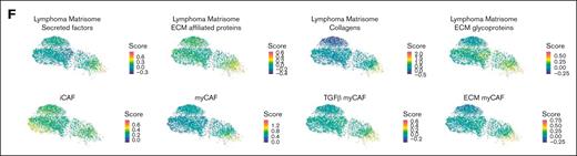 Stromal ECM profile is deeply modified in lymphoma-invaded BM. (A) Scatter plot of upregulated pathways in MSC_Gr.Late vs MSC_Sh (y-axis) and MSC_Gr.Early vs MSC_Sh (x-axis) as determined by gene set enrichment analysis (Hallmarks, Canonical pathways, and Gene Ontology databases). Pathways specific to each comparison are color coded: red for MSC_Gr.Late vs MSC_Sh, blue for MSC_Gr.Early vs MSC_Sh, and black for common pathways. ECM-related pathways are indicated by a star. (B) Heat map of the top 100 genes upregulated in at least 1 of the following comparisons: MSC_Gr.Late vs MSC_Gr.Early; MSC_Gr.Late vs MSC_Sh; and MSC_Early vs MSC_Sh. (C) Immunofluorescence on BM sections of sham (CA) or grafted (CB) mouse femurs for Sparc (red), collagen VI (ColVI; green), and human CD20 (hCD20; cyan; upper panel). Nuclei were counterstained with DAPI (blue); scale bars, 50 μm. Box (i) in Gr.Late femur indicates the area magnified below for Sparc, ColVI, and CD20 staining (scale bars, 50 μm). Immunofluorescence on BM sections of sham (CA) or grafted (CB) mouse femurs for Lox (red), and hCD20 (cyan; lower panel). Nuclei were counterstained with DAPI (blue); scale bars, 50 μm. (D) Compass-score differential activity of metabolic subsystems between MSC_Gr.Early vs MSC_Late (y-axis) and MSC_Gr.Early vs MSC_Sh (x-axis). Cohens d medians are calculated for each subsystem of Recon 2 pathways by taking each Cohens d value obtained for each reaction of this subsystem. Subsystems are categorized in global metabolic pathways and names of subsystems belonging to the “glycan metabolism” category are given in detail. (E) UMAP plot of non-endothelial stromal cells from human metastasis-free mesenteric LNs (MFLNs) and human FL LNs colored by sample origin (blue, MFLNs, and red, FL LNs; left). Visualization of the MSC_Gr. ECM and collagen signature scores derived from the 100 genes upregulated in MSC_Gr.Late and/or MSC_Gr.Early in MFLN vs FL stromal cells (right). (F) UMAP plot of scores from lymphoma matrisome signatures previously defined from DLBCL LNs30 and solid cancer CAF signatures previously defined from pancreatic cancers31 and from breast cancers32 were plotted on the LepR+ MSC clusters. iCAF, inflammatory CAF.