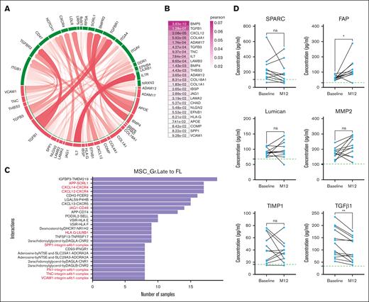 Impact of stromal cells on malignant B cells in lymphoma-invaded BM. (A) Circos plot showing predicted interactions between ligands from LepR+ MSCs and receptors from DOHH2 recovered from the grafted mouse at day 40. MSC_Gr.Late were defined as senders, and DOHH2 D40 as receivers. (B) Heat map representation of ligand activity of MSC_Gr.Late vs DOHH2 D40 cells. Colors correspond to Pearson coefficient quantifying ligand activities and text to P values assessed by random permutation. (C) Diagram of significative bidirectional interactions detected, by CellPhoneDB, between ligands from MSC_Gr.Late and receptors from human primary FL B cells,33 and observed in >8 of 20 patients with FL. Interactions predicted in panel A are highlighted in red. (D) Quantification by Luminex of matrix proteins and cytokines in the BM plasma from patients with FL (n = 11; except for TGFβ1, n = 13) collected at diagnosis and after 12 months of treatment. Blue dots represent patients with FL and green dotted line represent HD median level. Statistical significance was determined using the Mann-Whitney nonparametric U test. ∗P < .05; ∗∗P < .01. ns, nonsignificant.