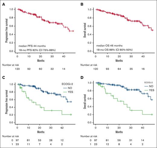 Survival outcomes and significant predictors. PFS and OS of the Ven-treated patients (A-B). PFS and OS of the significative variables (C-D). mo, months.