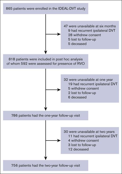 Flowchart of the study population.