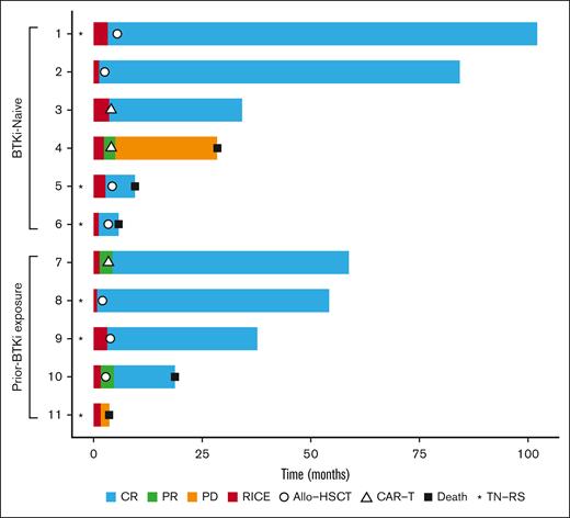 Swimmer plot of treated patients, demonstrating responses to RICE combined with BTKi followed by cellular therapy. Plot begins from the initiation of RICE. TN-RS, treatment-naive RS.