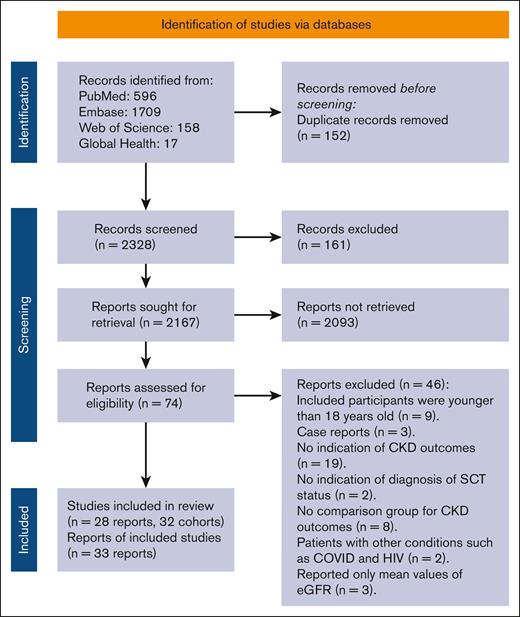 PRISMA flow diagram for the inclusion and exclusion of studies.