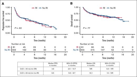 Survival outcomes. (A) PFS and (B) OS with teclistamab therapy among patients with and without RI.