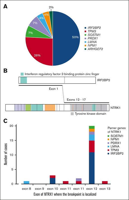 NTRK1 rearrangements. (A) Frequencies of fusion partner genes. (B) Illustration of the most frequent fusion. (C) Localizations of the fusion breakpoints at the NTRK1 locus.