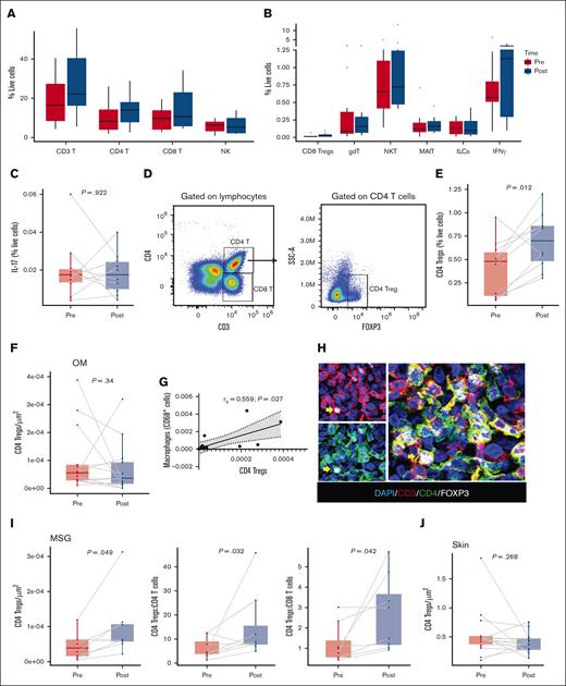MSG resident and blood CD4 Treg cells increased in frequency after belumosudil therapy. (A-B) Percentages of immune cells (CD3 T, CD4 T, CD8 T, NK, CD8 Treg cells, gdT, NKT, MAIT, ILCs, IFN-γ) in PBMCs before and after treatment with belumosudil measured by spectral flow cytometry. (C) Percentage of IL-17 before and after treatment with belumosudil from PBMCs (n = 10). (D) Gating strategy used for CD4 Treg cells (CD3+CD4+FOXP3+). (E) Percentage of CD4 Treg cells before and after treatment with belumosudil from PBMCs (n = 10). (F) Quantification of CD4 Treg cells in the OM. (G) Scatterplot showing significant positive correlation between CD4 Treg cells and macrophages in the OM. (H) Representative multiplex immunofluorescence staining of DAPI (blue), CD3 (red), CD4 (green), and FOXP3 (white) in labial MSGs. (I) Quantification of CD4 Treg cells and ratios to other T-cell populations in the MSGs. (J) Quantification of CD4 Treg cells in the skin. P value <.05 is considered significant. Wilcoxon signed-rank test was performed. Scale bar of 50 μm was used. FOXP3, forkhead box P3; gdT, γδ T cells; ILC, innate lymphoid cell; MAIT, mucosal-associated invariant T cell.