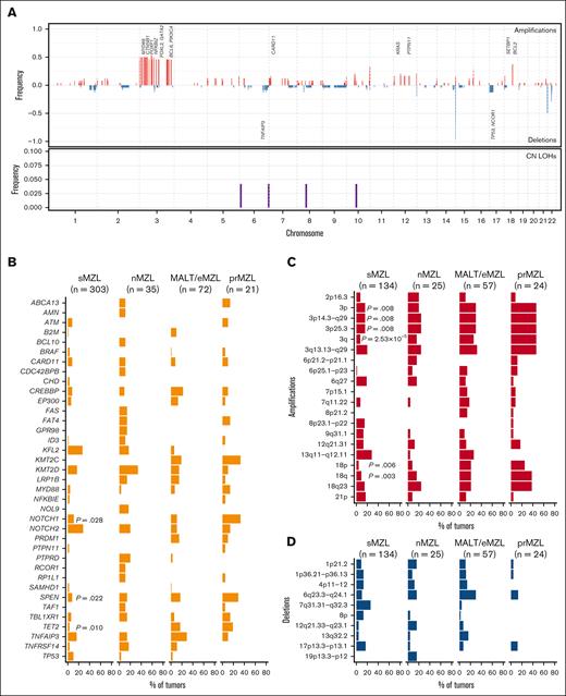 Comparative analysis of genomic features in prMZL compared with other primary manifestations. (A) Genome-wide frequency plot showing chromosomal amplifications, deletions, and CN-LOH across sMZL, nMZL, MALT/eMZL, and prMZL subtypes. The x-axis represents chromosomes, and the y-axis denotes the frequency of alterations. Key genes within significant regions are annotated. A more detailed representation of aberrations affecting chromosome 3 as a most prominent target of somatic copy number variants is provided in supplemental Figure 3. (B) Comparison of gene-specific copy number alterations (amplifications or deletions) among sMZL, nMZL, MALT/eMZL, and prMZL subtypes. Percentages indicate the proportion of tumors with alterations in each gene, with statistical significance noted for specific comparisons; P values are shown for comparisons against prMZL. (C) Frequencies of significant chromosomal amplifications in sMZL, nMZL, MALT/eMZL, and prMZL. The y-axis highlights key chromosomal regions, whereas the x-axis shows the percentage of tumors harboring these alterations. Statistical significance is annotated (P values). (D) Frequencies of significant chromosomal deletions in sMZL, nMZL, MALT/eMZL, and prMZL. The y-axis highlights key chromosomal regions, and the x-axis represents the percentage of tumors with these alterations. Pairwise comparison of mutation frequencies across MZL subtypes using logistic regression models with post hoc analysis via estimated marginal means, yielding adjusted P values (Tukey method) and odds ratios for differential mutational enrichment. The respective data sets were not reanalyzed, but rather, the published results were extracted for comparative analyses. Reported P values reflect comparisons between prMZL and each individual MZL subtype. CN-LOH, copy-neutral loss of heterozygosity; nMZL, nodal MZL; sMZL, splenic MZL.