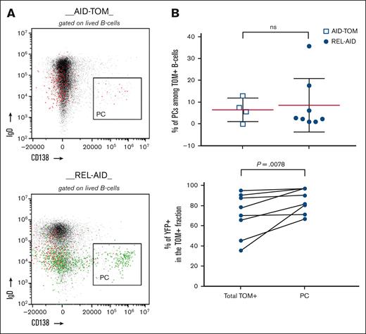 Analysis of splenic PCs shortly after immunization. (A) Example of gating on PCs in AID-TOM (upper) and REL-AID (lower) mice from the mid-term cohort (also refer to Figure 5A). Red colored cells are TOM+ B cells only and green colored cells are TOM+YFP+ B cells (same gating of the first 2 cytogram in Figure 5B). (B) Percentages of PCs among total TOM+ B cells in AID-TOM and REL-AID mice (upper) and percentages of YFP+ among TOM+ B cells in the total TOM+ and in the PC fraction in REL-AID mice (each line connects the points for 1 mouse) (lower). Mean and standard error of the mean are shown by a red and 2 black lines, respectively. The P values of the Mann-Whitney (upper) and paired Wilcoxon (lower) test are shown. ns, nonsignificant.