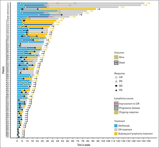 Patient trajectories. Swimmer plot visualizes timing of response and DOR and highlights treatment in all patients of this cohort.
