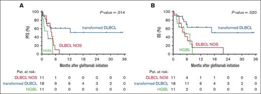 Survival proportions stratified by pathological subtypes. PFS (A) and OS (B) for patients stratified by DLBCL NOS (red), transformed DLBCL (blue), and HGBL (green). The P values are obtained using a log-rank test and patients at risk are highlighted below the Kaplan-Meier plot.