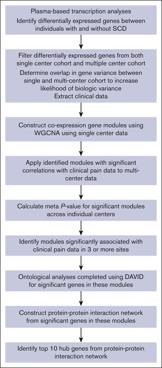 Overview of study methods. The figure displays an overview of the process and methods used for plasma analyses and integration of the gene expression data with clinical data.