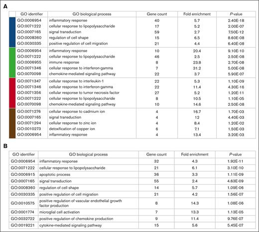 Ontological analysis using the DAVID. (A) Gene clusters for each of the significant modules as identified by WGCNA were analyzed. Displayed are the main GO terms reflected by the genes contained within each module. Also included are the numbers of genes represented by the GO process, the fold enrichment value, and the P value. (B) Significant genes from each of these modules were combined and then analyzed using DAVID to identify the most significant overall GO biological processes. Displayed are the top 10 most significant GO terms, gene count, and fold enrichment value. ∗The list of genes that represent each GO term shown in panels A-B are included as the supplemental Data 2 and 3.