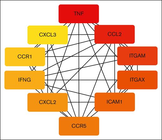 Top 10 hub genes as identified by cytoHubba. The level of ranking of the hub genes is indicated by color, with red indicating the highest rank and yellow representing the lowest rank. The lines indicate connections among genes.