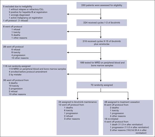 CONSORT diagram. m, months.