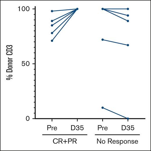 Percentage of donor CD3 chimerism measured in paired peripheral blood samples before treatment and again at day 35 in 5 patients with ORR (CR + PR) and 5 patients without response.