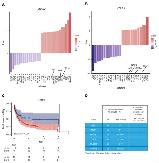 Integrin αvβ3 mRNA levels association with TFs involved in TCL progression and clinical outcome of patients with TCL. (A-B) TF enrichment analysis using decoupleR 2.7. in TCL sample groups (GSE58445) with high and low ITGB3 and ITGAV levels. (C) Kaplan-Meier survival analysis was conducted using ggsurvfit 0.3.1 package in RStudio using R2 optimal cutoff expression. (D) Correlation analysis of the differentially expressed genes of interest with the OS of patients with TCL. OS, overall survival.