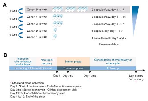 Dose ranging and study flowcharts. (A) Details of dose regimen per cohort. Of note, no patient was treated in cohort 5. (B) Study flowchart. The dose-escalation process was monitored by the data and safety monitoring board. Visit 1: treatment start (D1) at the end of neutropenia. Feces and blood collection. Visit 2: safety interim visit (D7 ± 2), clinical assessment visit. Feces and blood collection. Visit 3: start of consolidation or other cycle of chemotherapy (D19 ± 5), clinical follow-up. Feces and blood collection. Visit 4: end of study (D44 ± 10) corresponding to the end of chemotherapy. Feces and blood collection. The recommended timing for MaaT033 administration was 1 capsule before breakfast (for cohorts 1 and 2), 3 capsules before breakfast (for cohorts 3 and 4), and 3 capsules before breakfast, 3 before lunch, and 3 before dinner (for cohort 5).